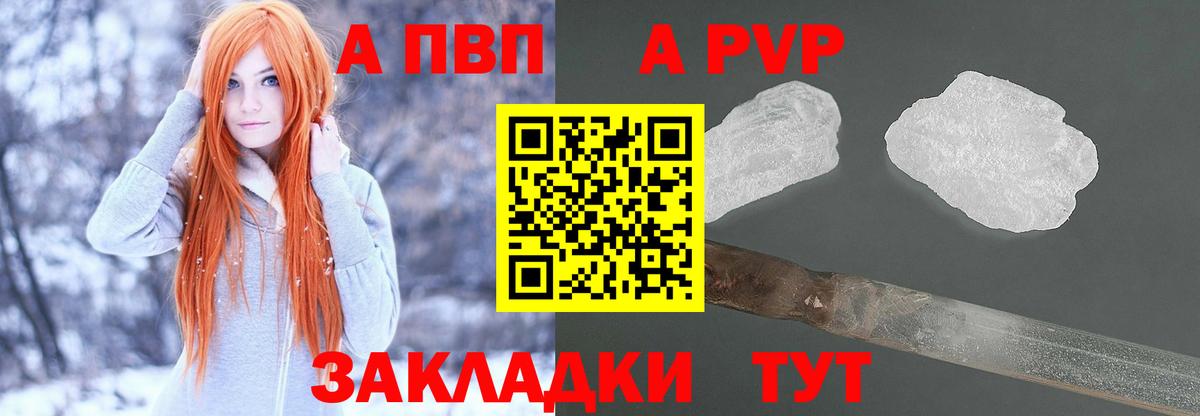 Альфа ПВП СК Керчь