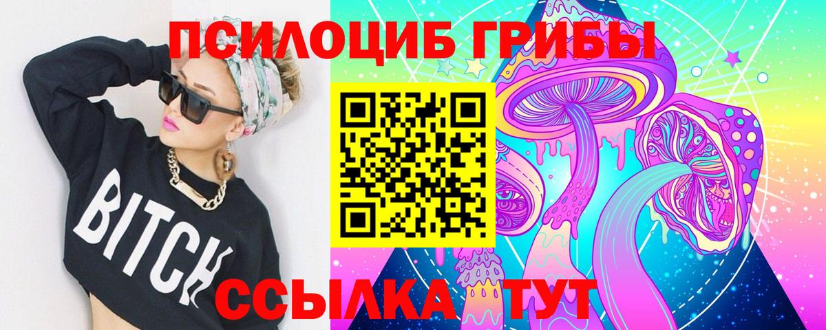 как найти наркотики  Псилоцибиновые грибы Psilocybe  Вход с VPN  Керчь 