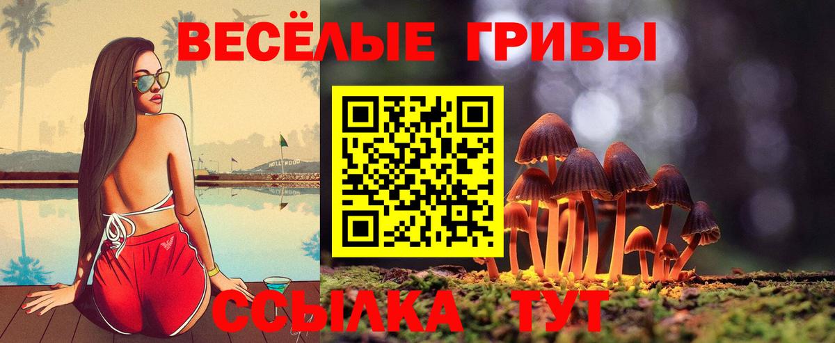 Псилоцибиновые грибы MAGIC MUSHROOMS Керчь